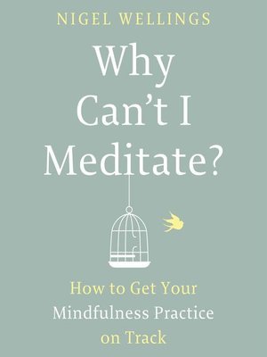 cover image of Why Can't I Meditate?
